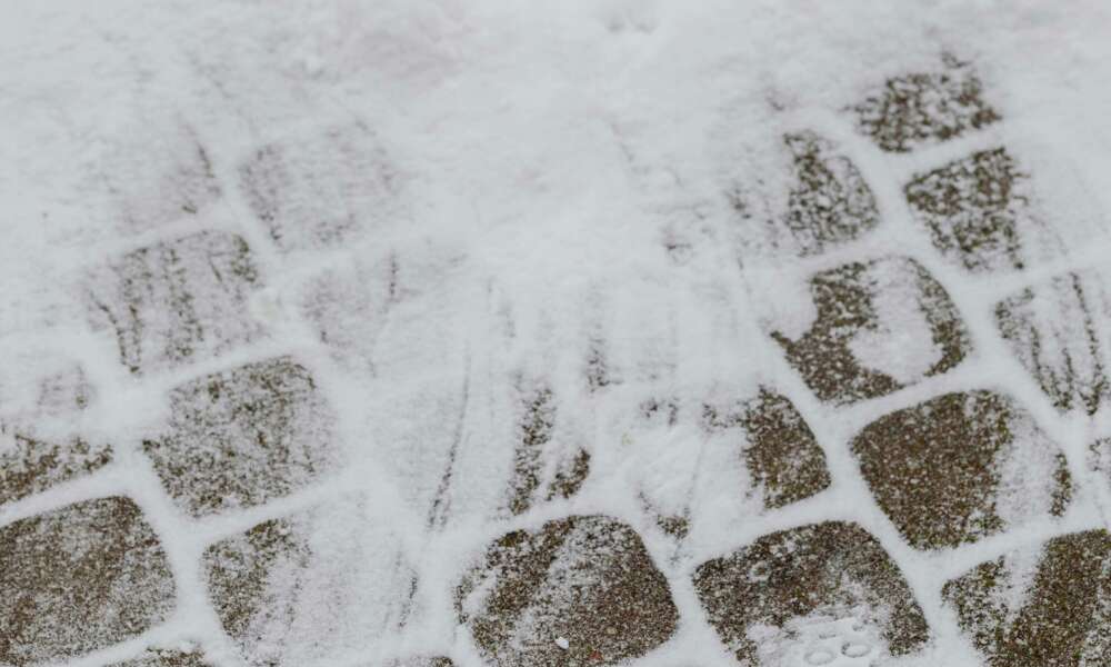 Pexels karola g 6633899